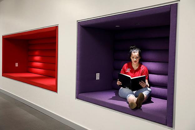密歇根州立大学丹佛分校大四学生格蕾丝·林克在学生成功大楼二楼的一个学习舱里观看艺术家彼得·布鲁盖尔的画作. 艾莉森·麦克拉伦摄